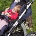 Bild Kinderwagen neu02